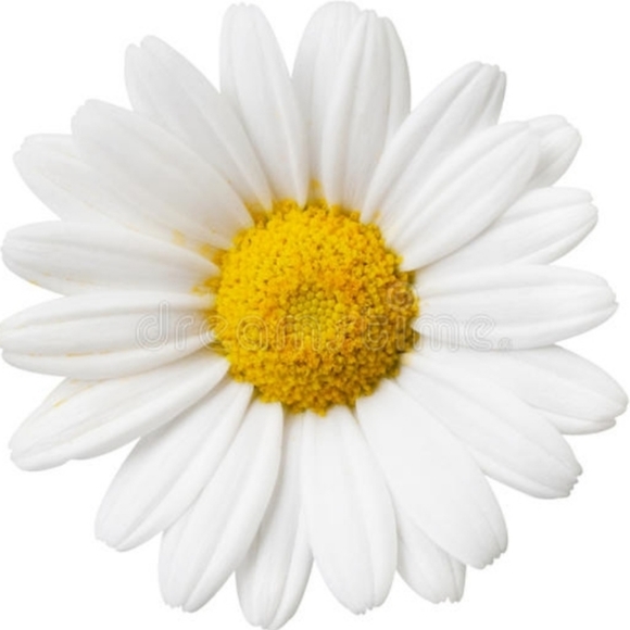 Meet your Posher, Kat - Picture 1 of 1